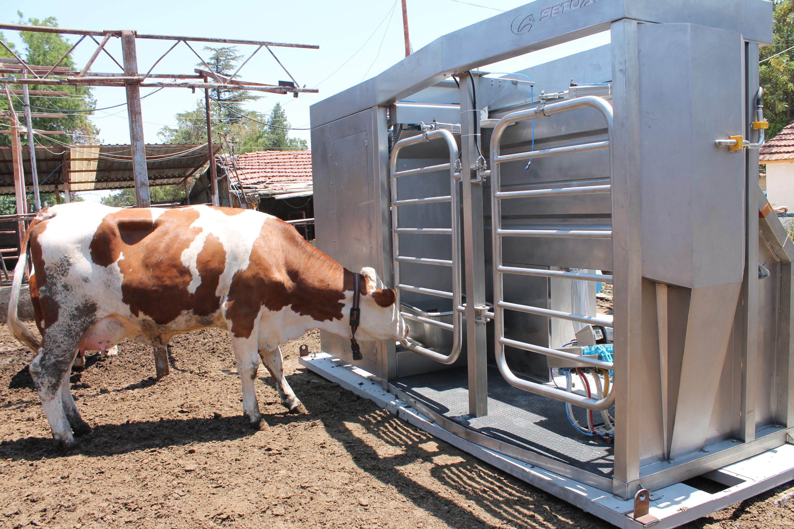 Technological Transformation in Dairy Farming